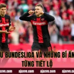 Lịch Sử Bundesliga Và Những Bí Ẩn Chưa Từng Tiết Lộ