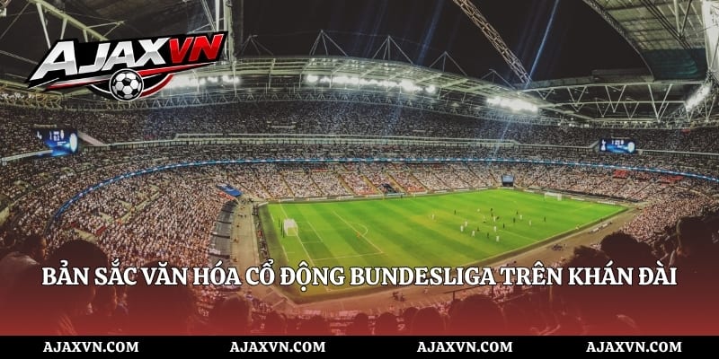 Bản sắc văn hóa cổ động Bundesliga trên khán đài