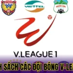 Danh sách các đội bóng V-League