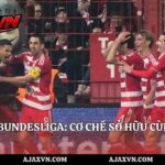 Luật 50+1 Bundesliga: Cơ Chế Sở Hữu Cùng AJAX VN