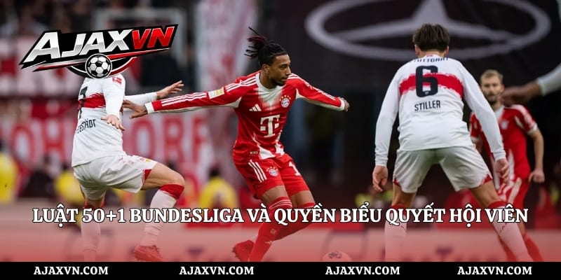 Luật 50+1 Bundesliga và quyền biểu quyết hội viên