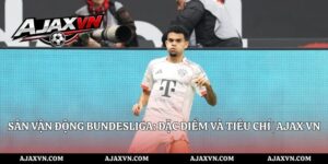 Sân Vận Động Bundesliga: Đặc Điểm Và Tiêu Chí | AJAX VN
