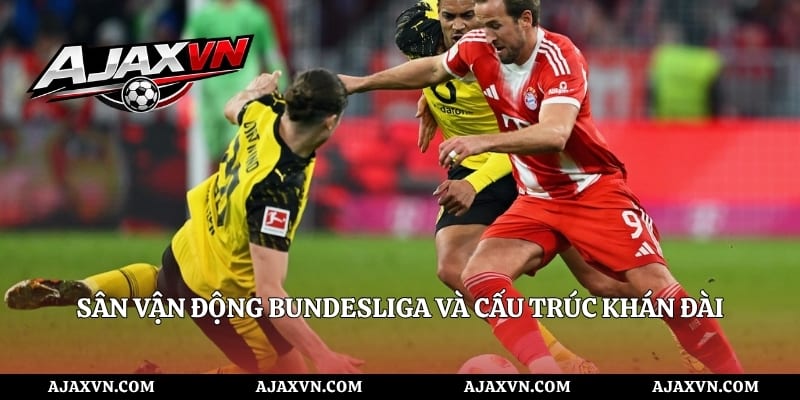 Sân vận động Bundesliga và cấu trúc khán đài